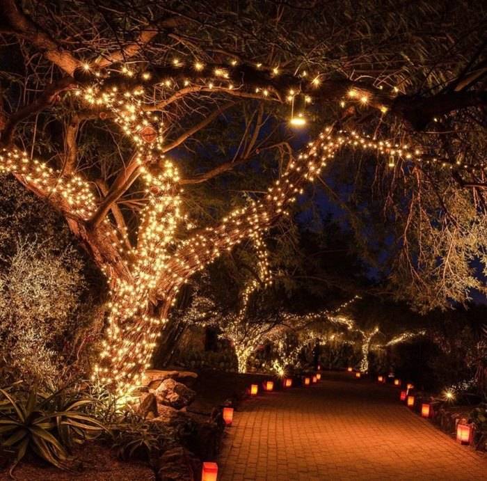 Desert Botanical Gardens Luminarias