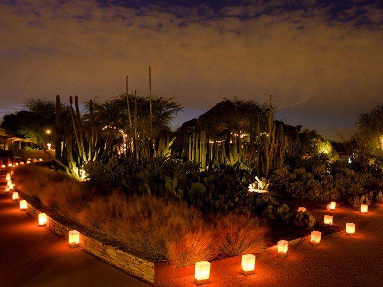 Luminarias Light Desert Botanical Garden