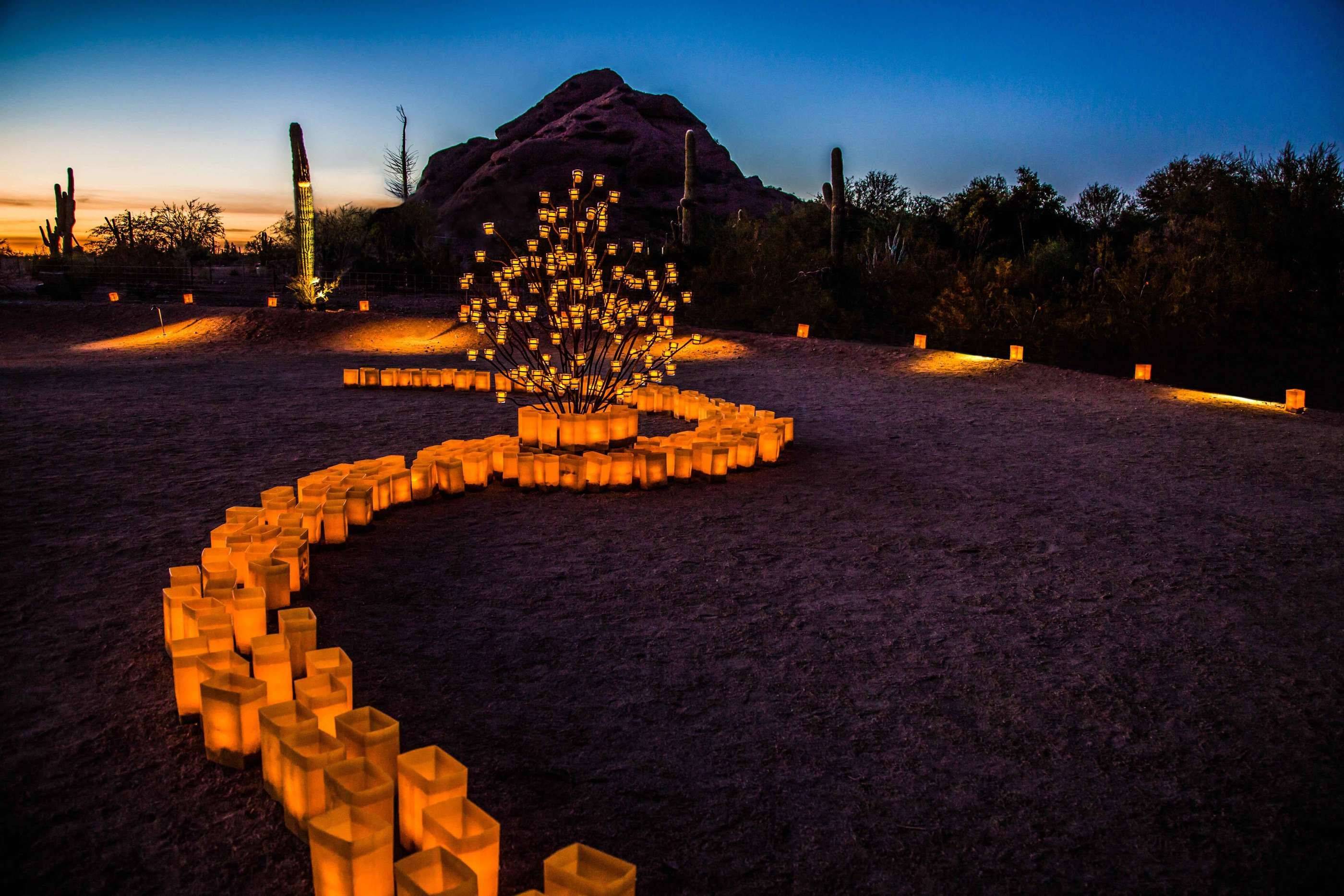 Luminarias Light Desert Botanical Garden