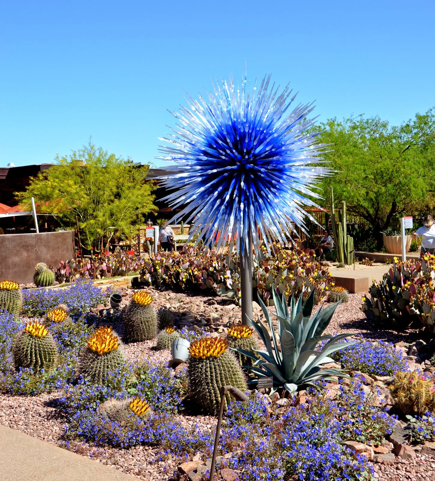 Desert Botanical Gardens