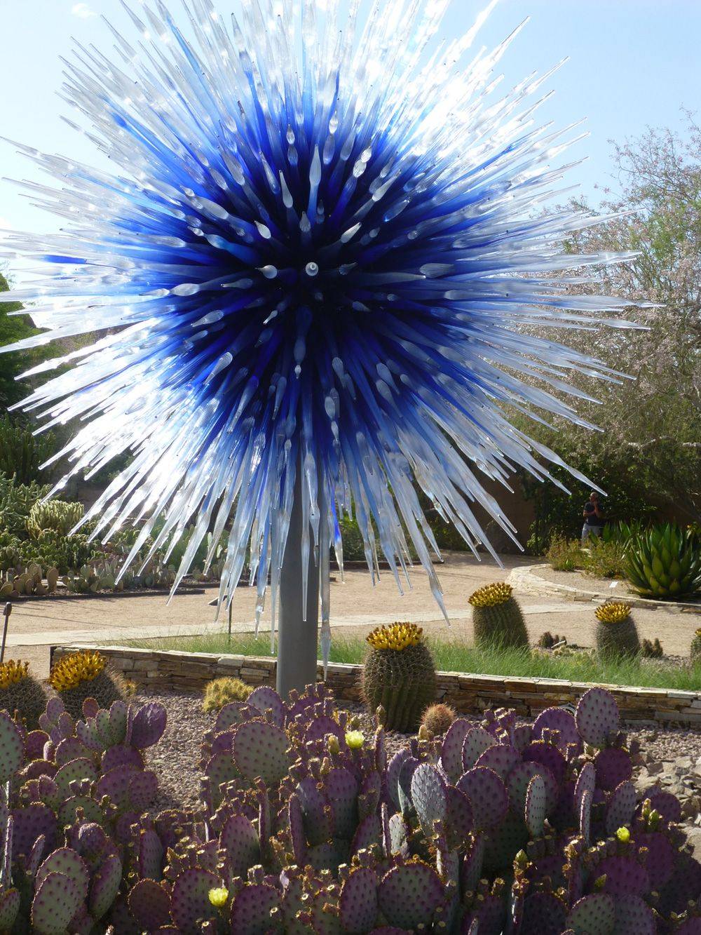 Chihulypurplescottsdalearizonadesertbotanicalgardenartexhibit