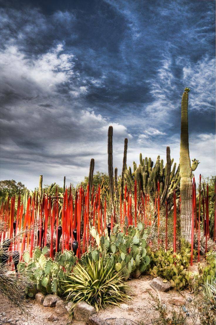 Chihulypurplescottsdalearizonadesertbotanicalgardenartexhibit