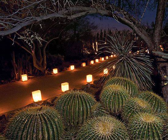 Dale Chihuly Sculptures