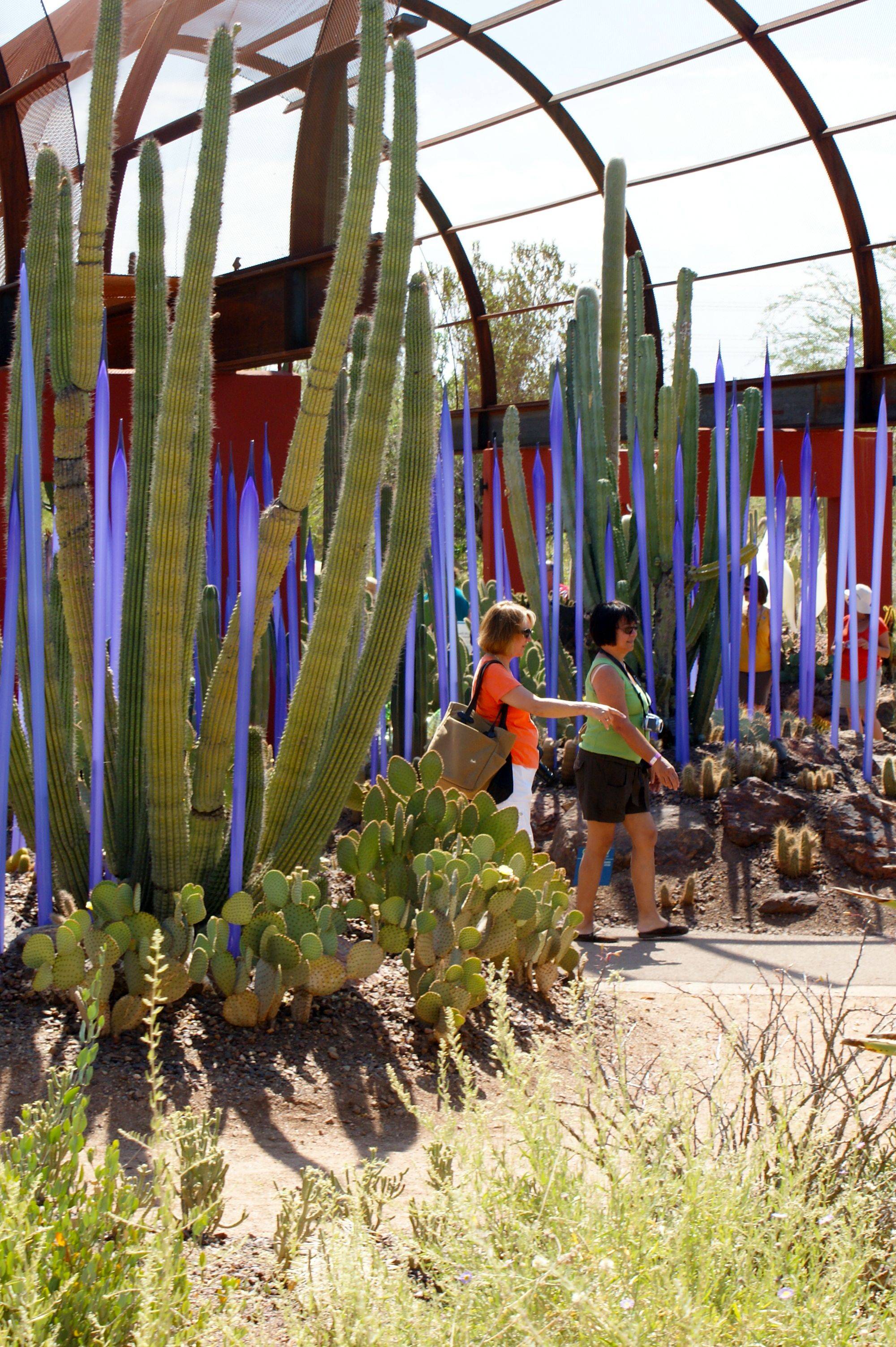 Desert Botanical Garden