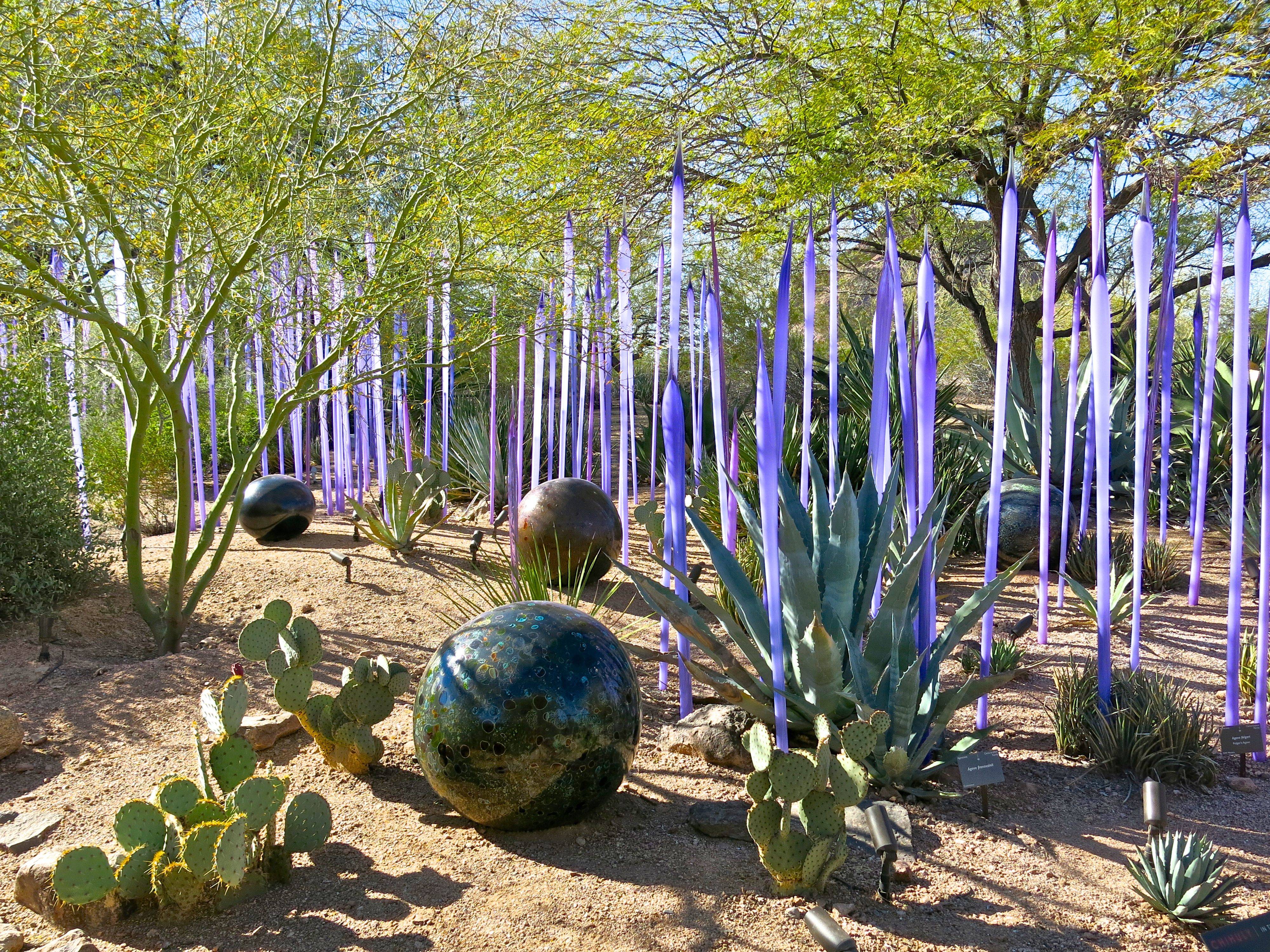 Desert Botanical Garden