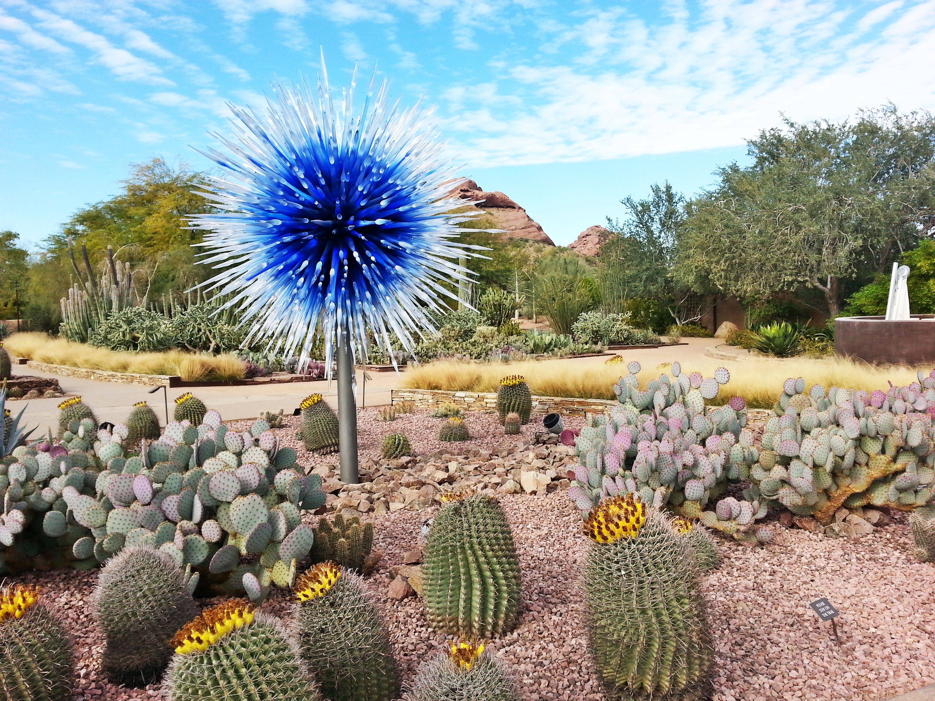 Desert Botanical Garden