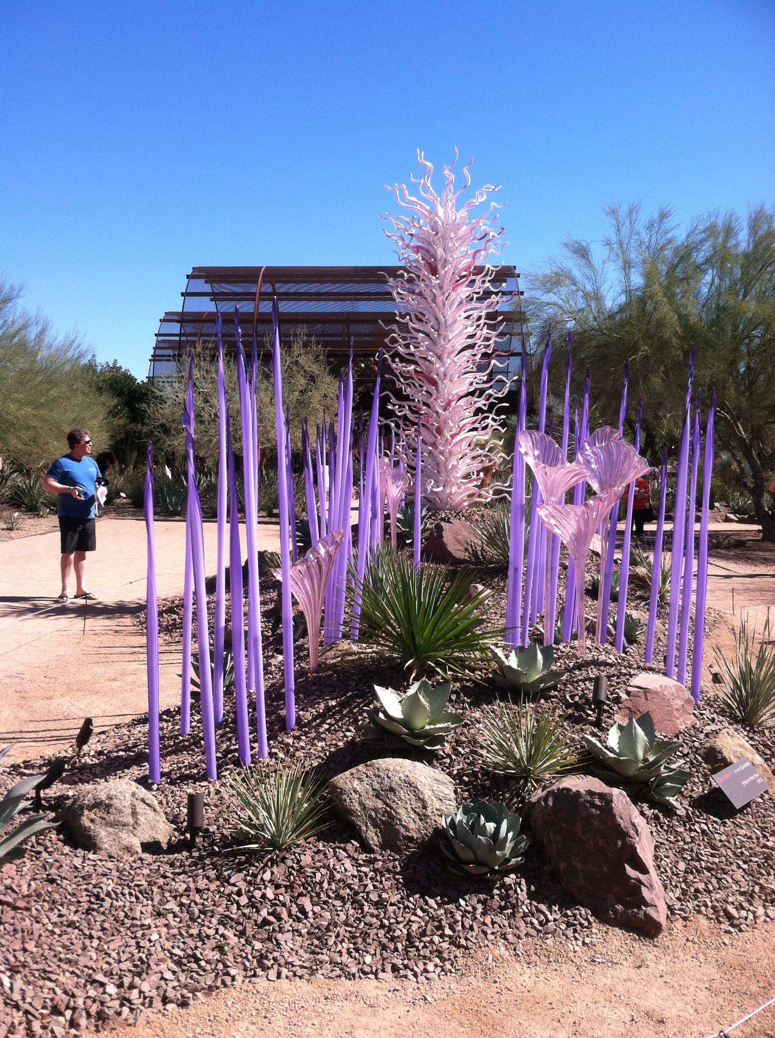 Desert Botanical Garden