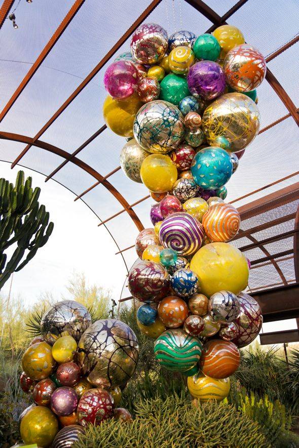 Desert Botanical Garden