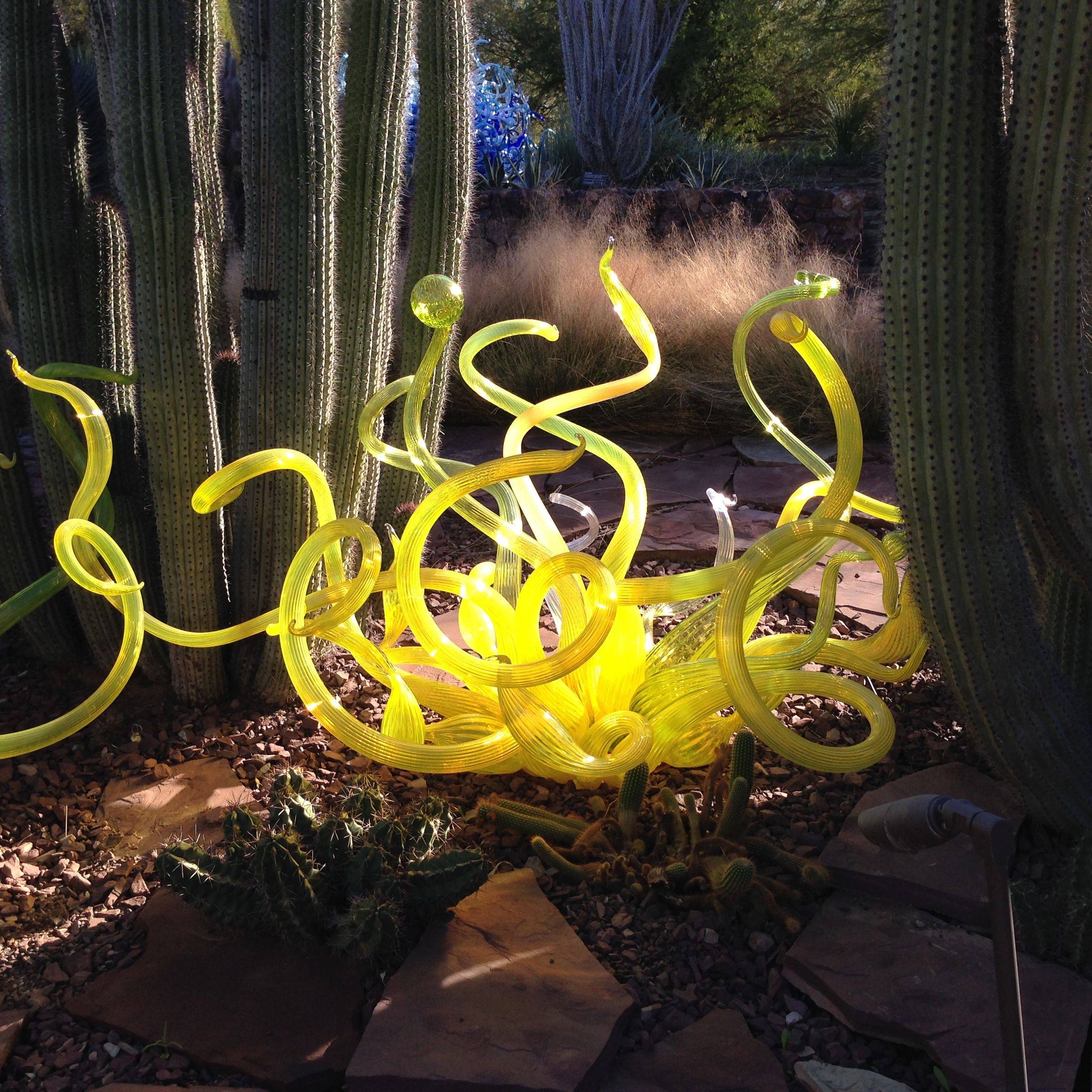 Desert Botanical Garden