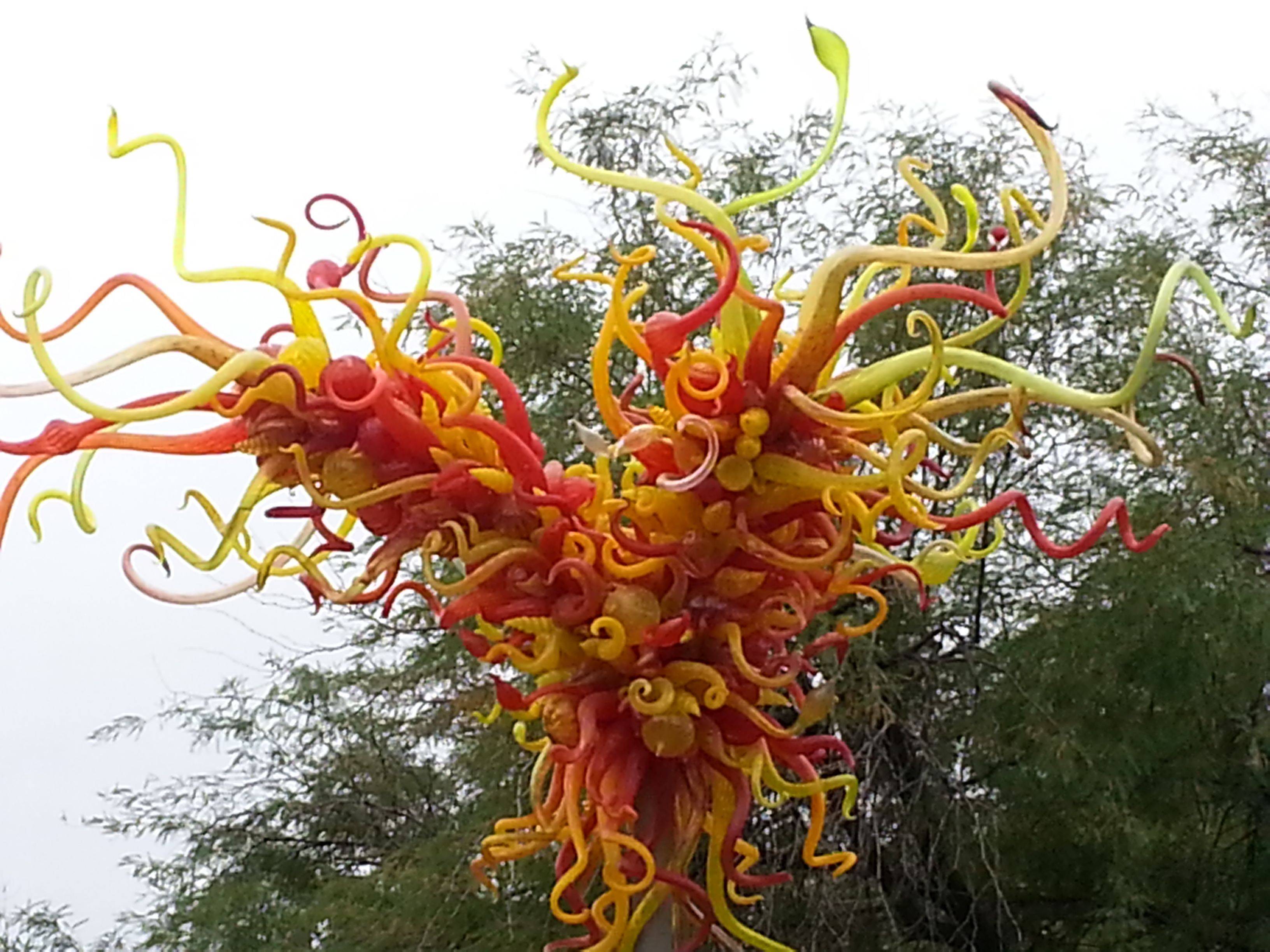 Desert Botanical Gardens