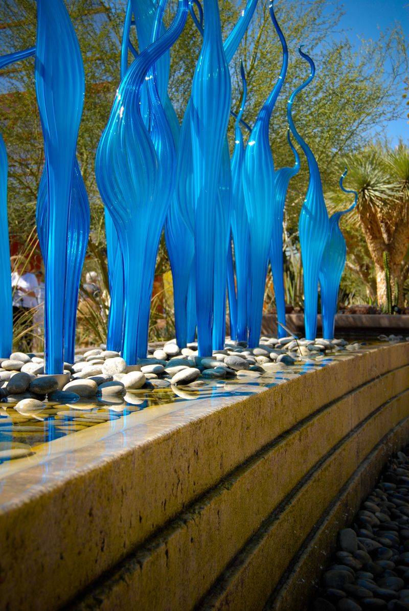 The Desert Botanical Garden