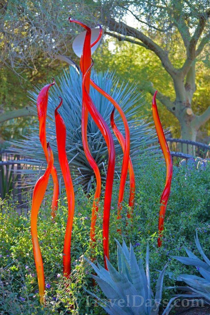 Desert Botanical Garden