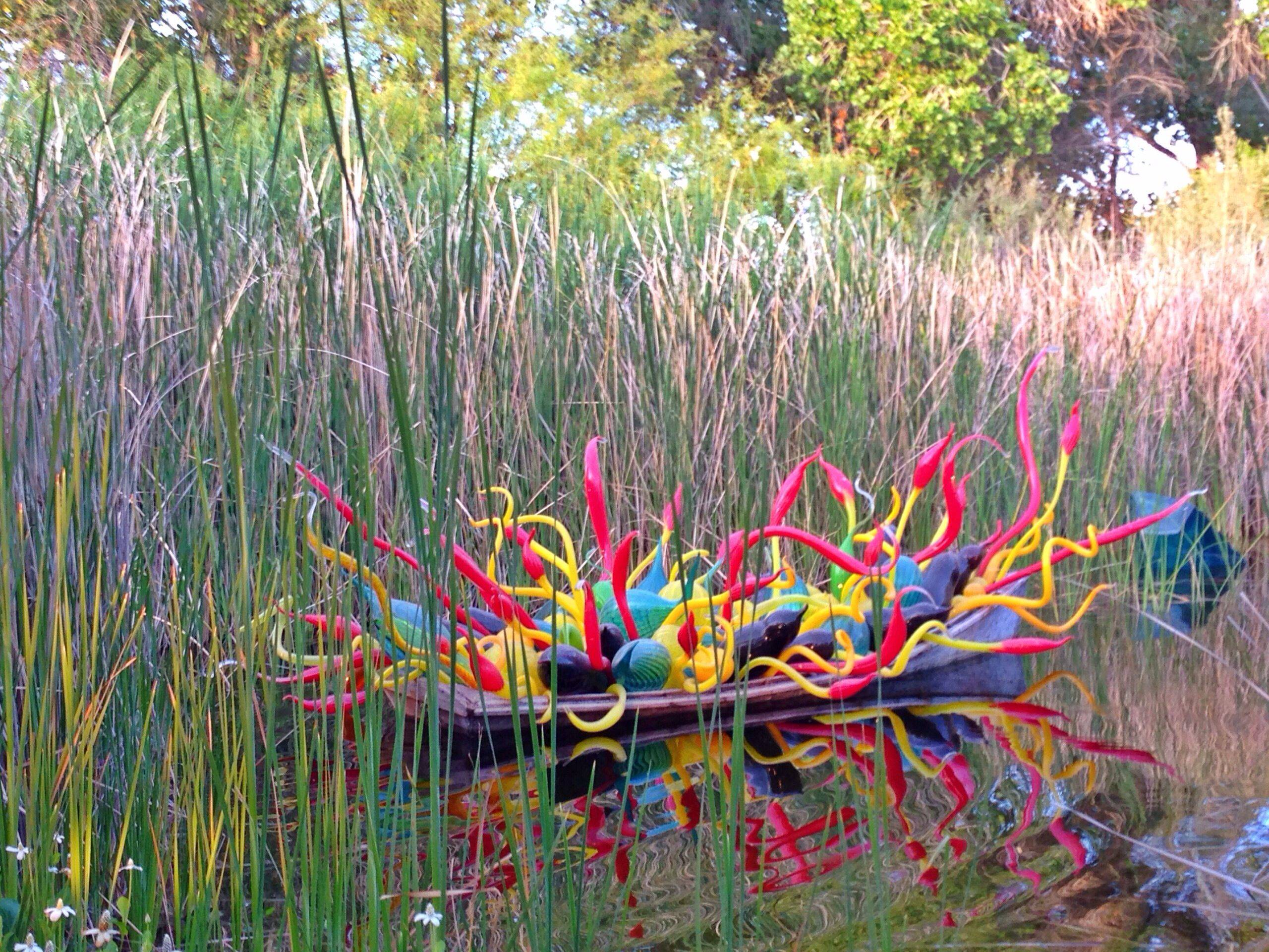 Phoenix Botanical Garden