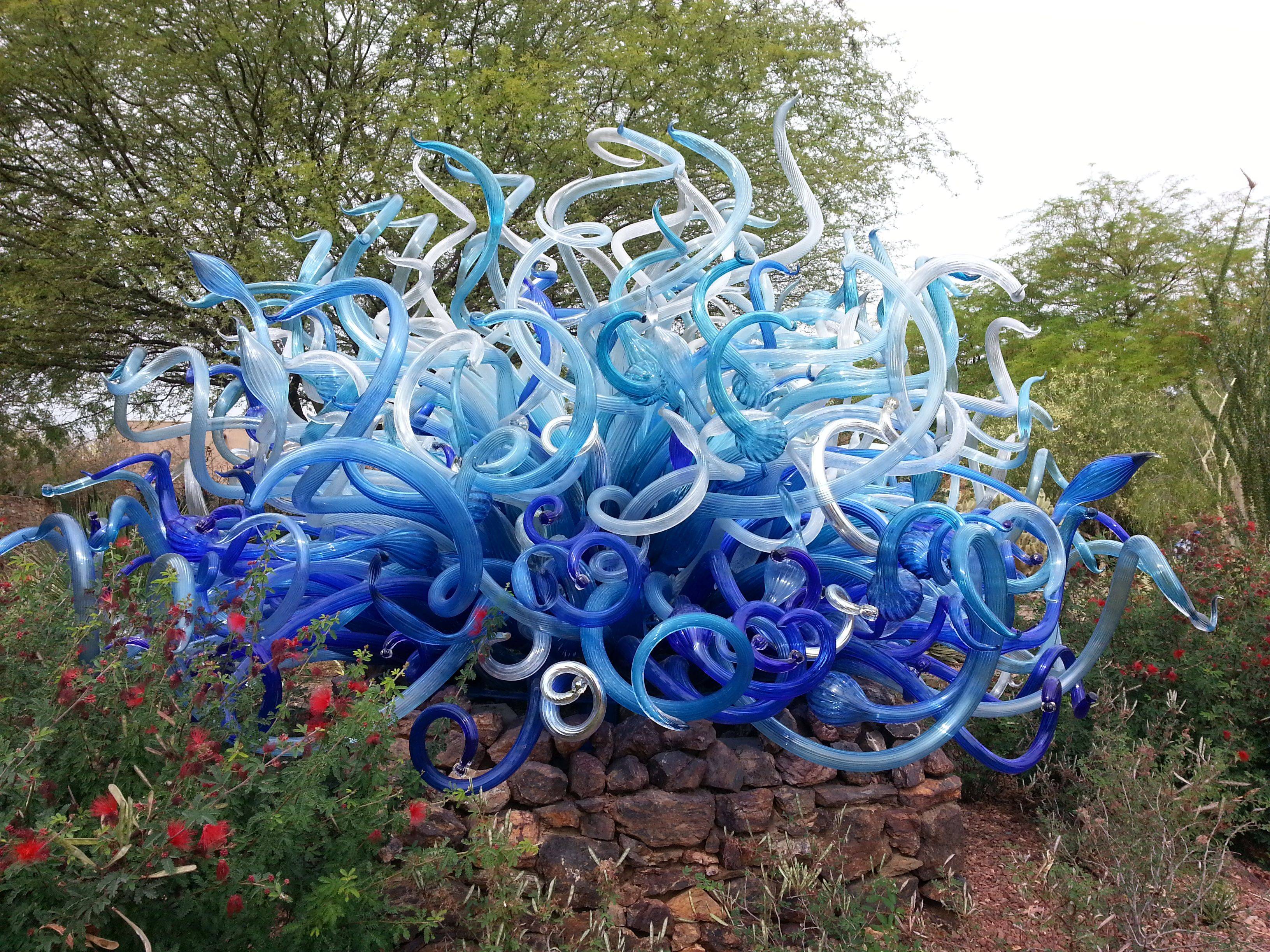 The Desert Botanical Gardens