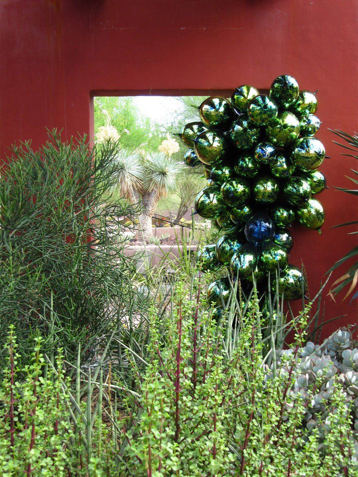The Desert Botanical Gardens