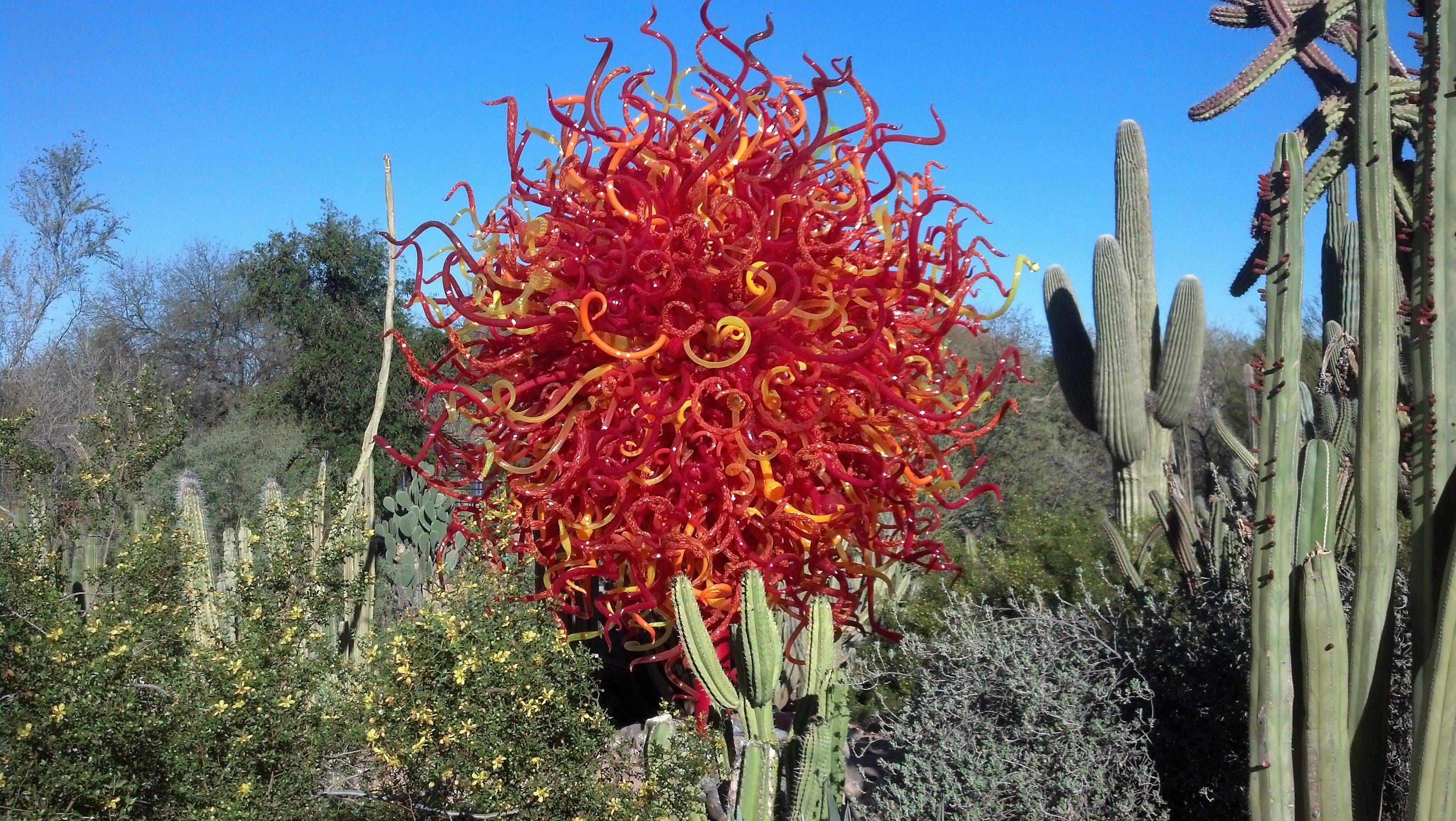 Phoenix Special Exhibit