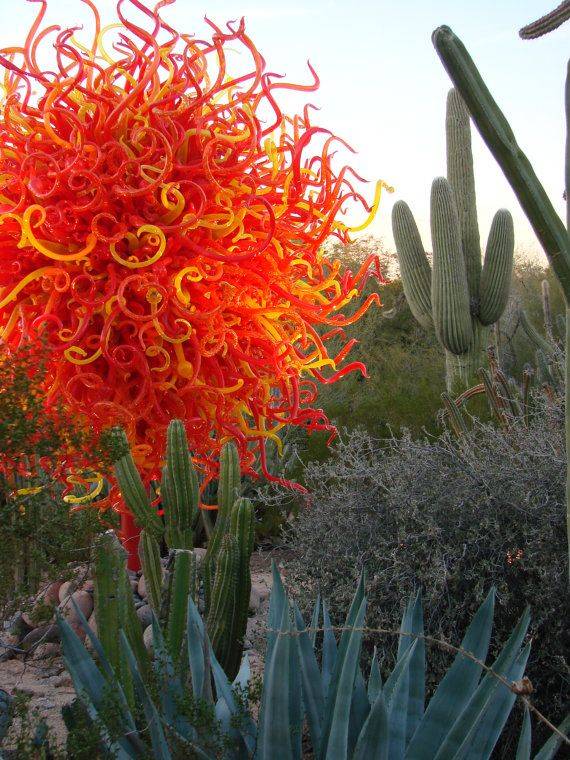 W Chihuly Exhibit Desert Botanical