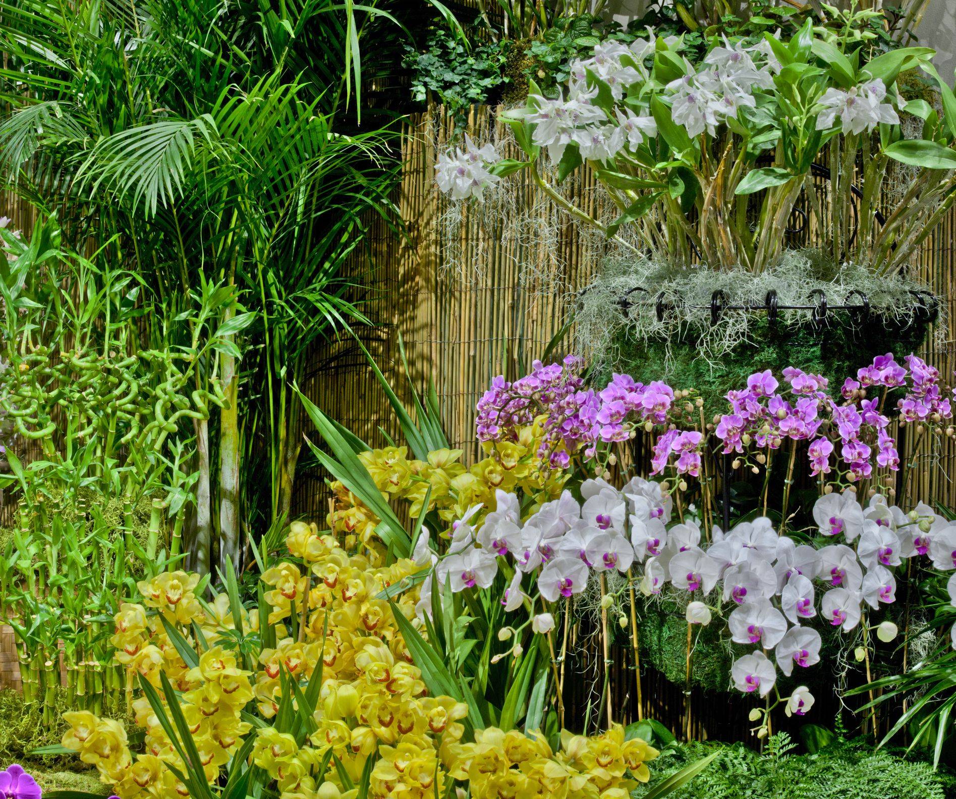 Tropical Flower Garden Ideas