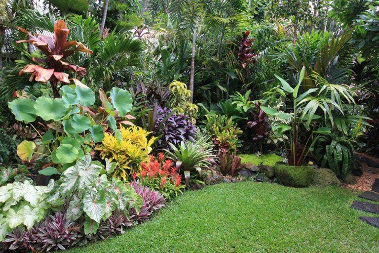 Creative Tropical Garden Paradise