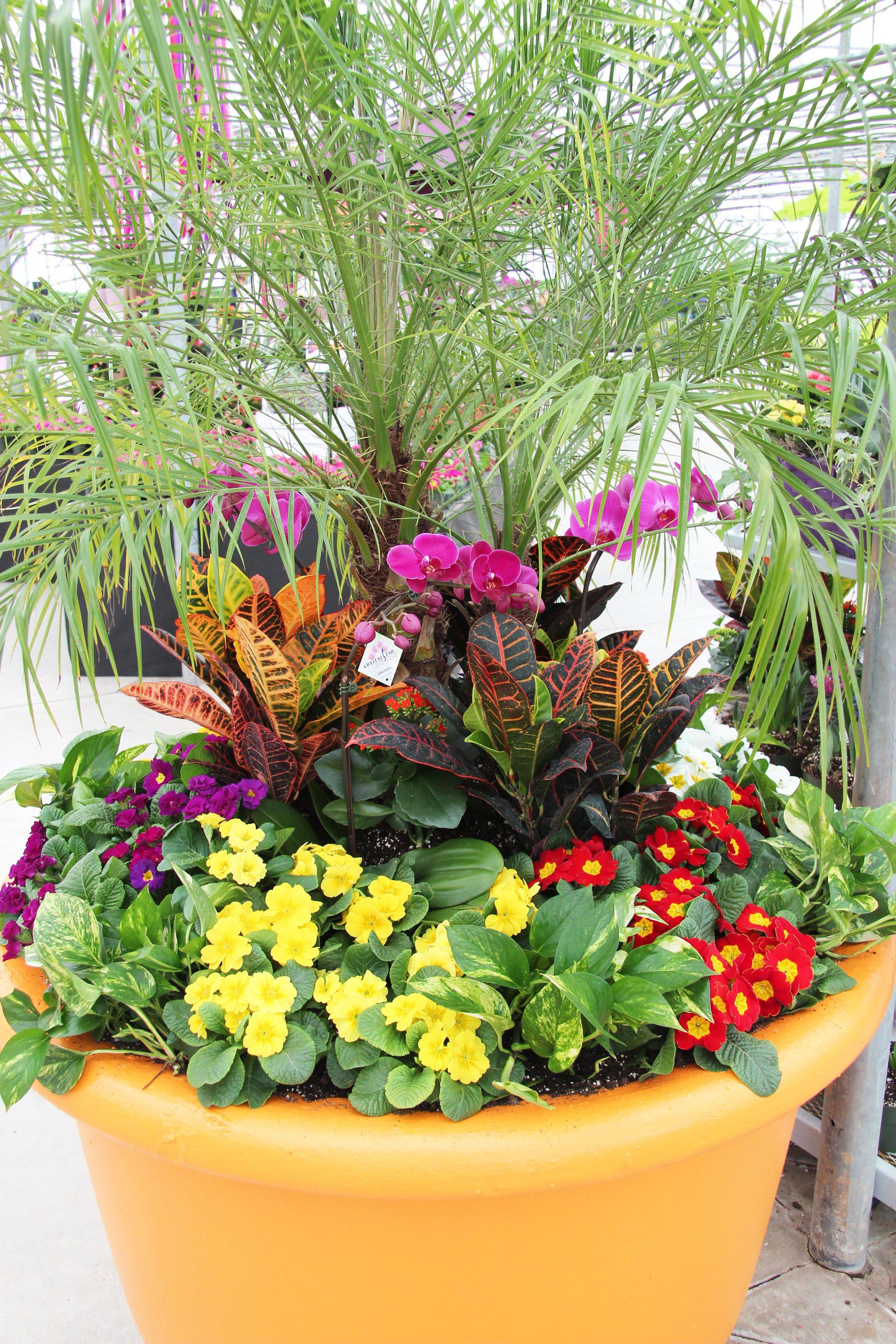 Low Maintenance Flower Garden Ideas
