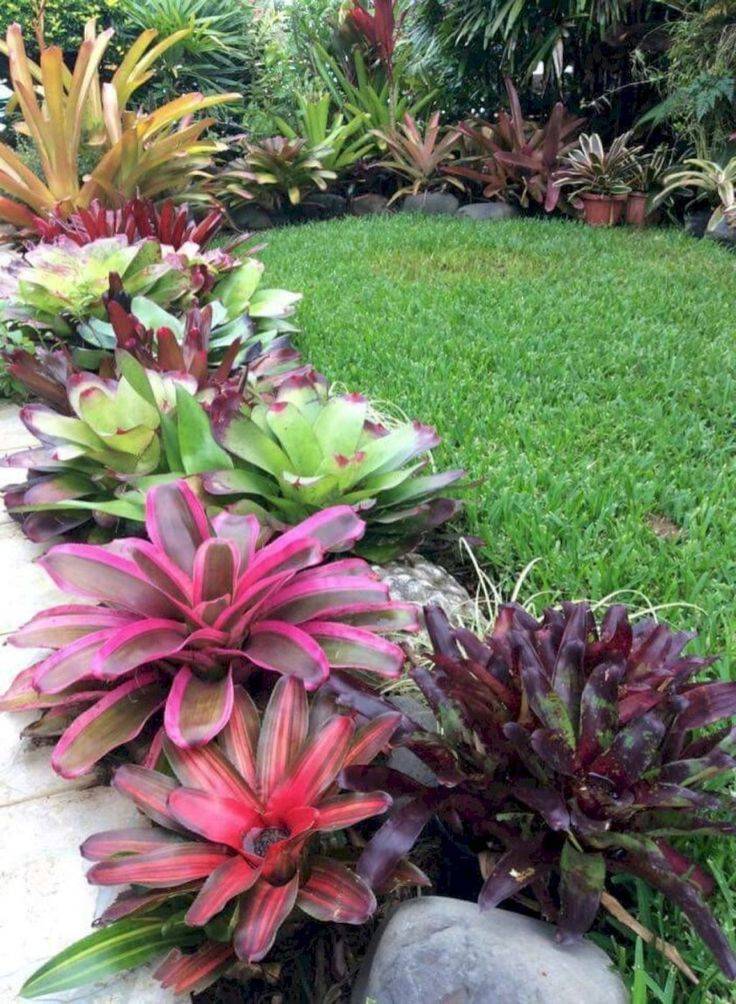 Low Maintenance Flower Garden Ideas