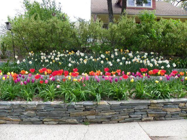 Beautiful Flower Garden Design Ideas