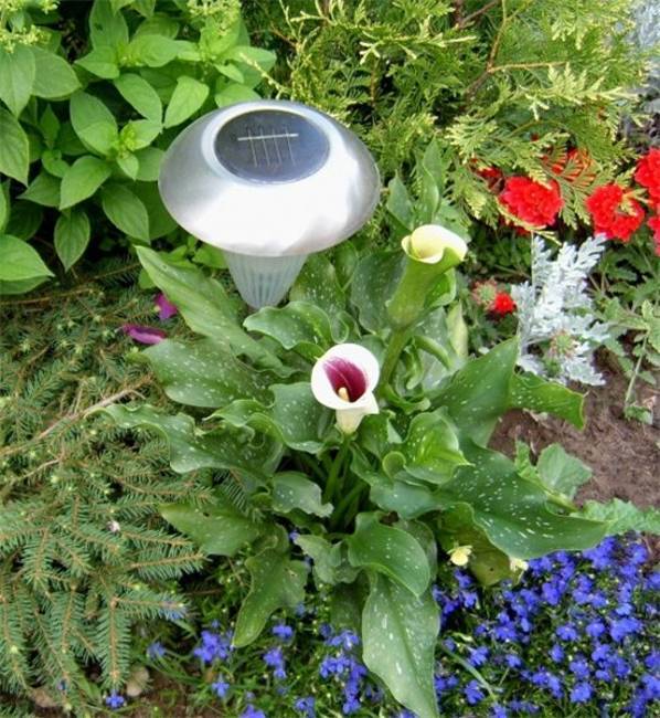Cheesehead Gardening
