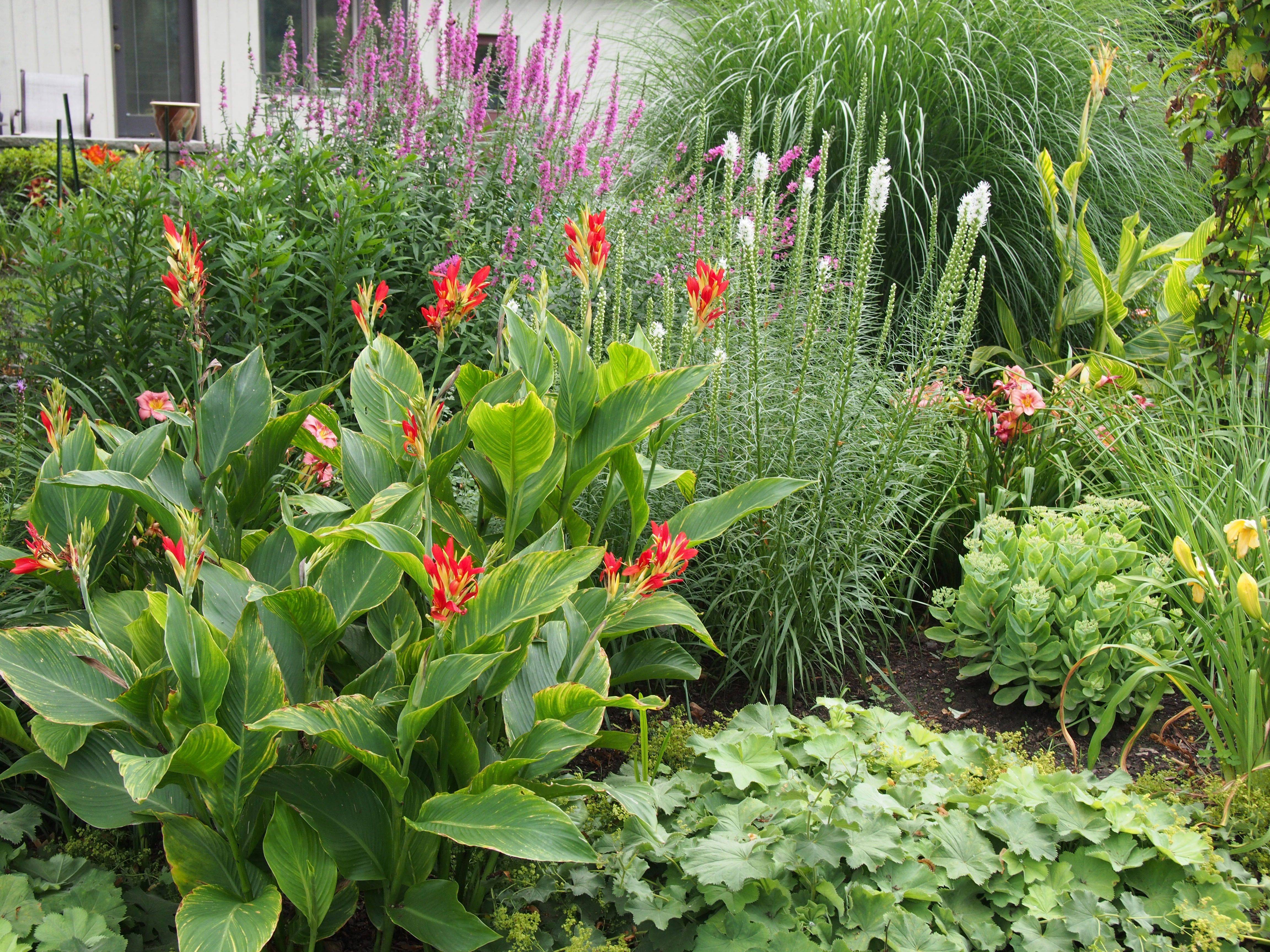 A Photo Tour Gardenorg