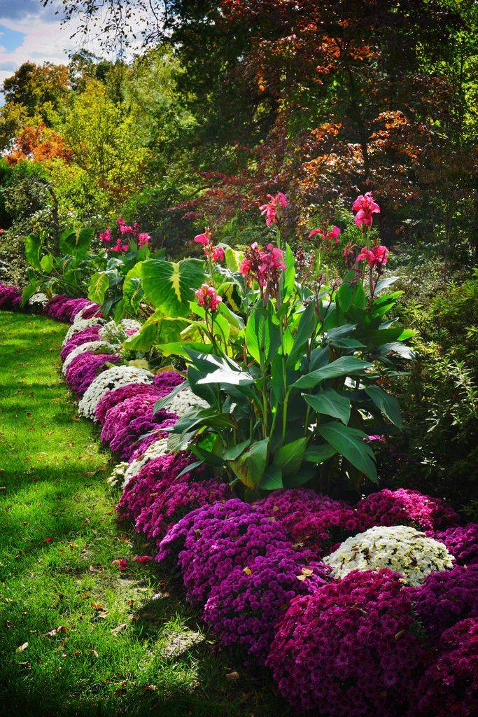 Perennial Garden