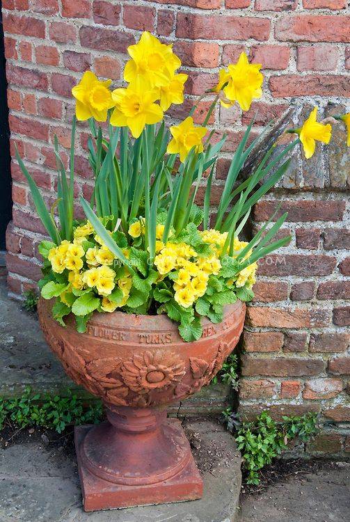 Bright Primary Color Combo