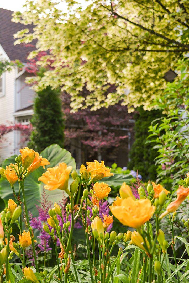 Container Gardening Flowers