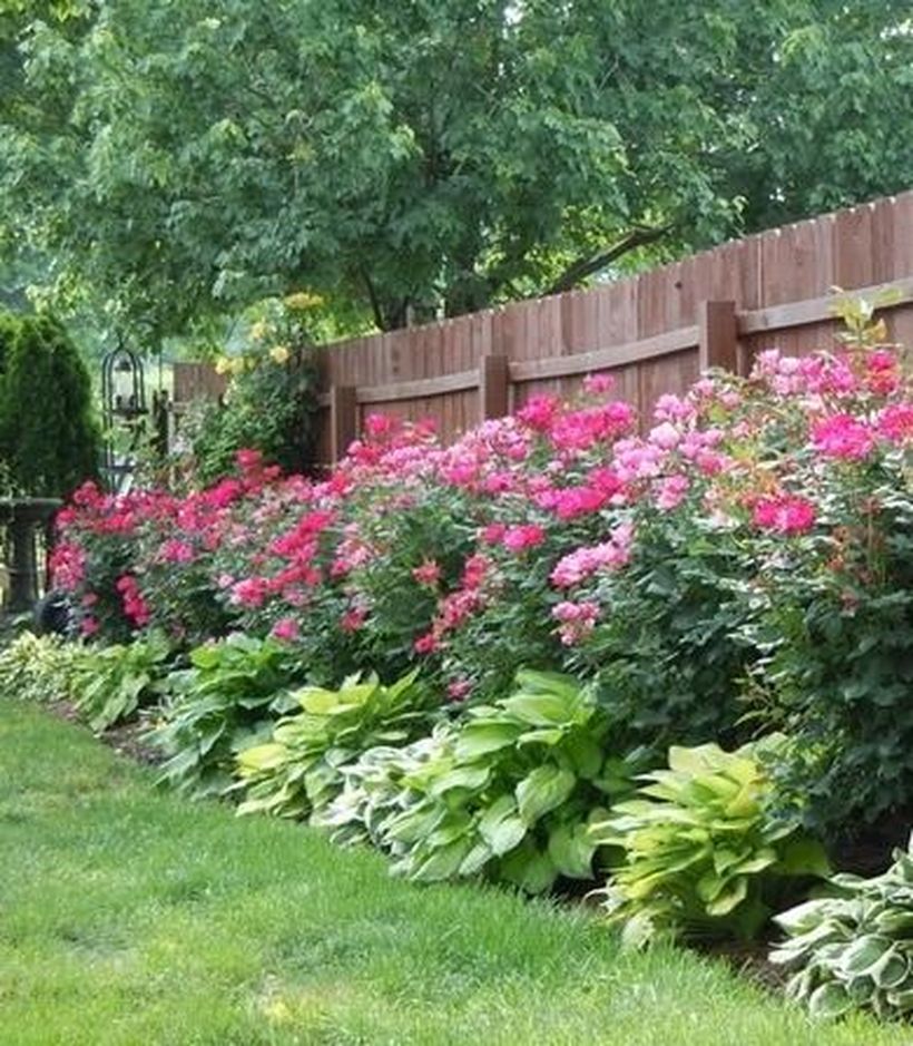 Landscape Ideas