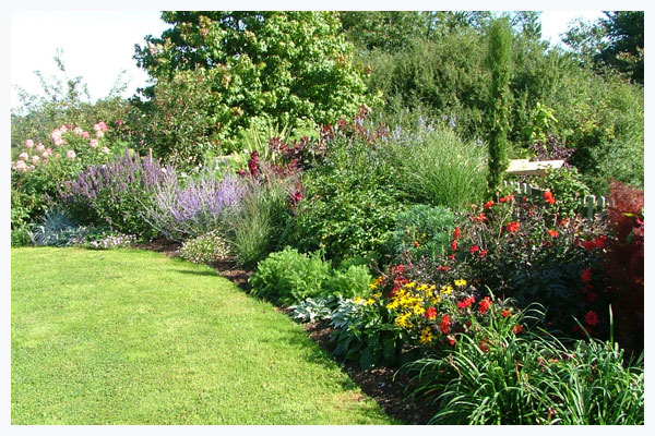 Shady Areas