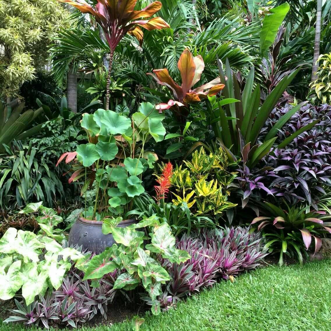 Perfect Tropical Garden Ideas