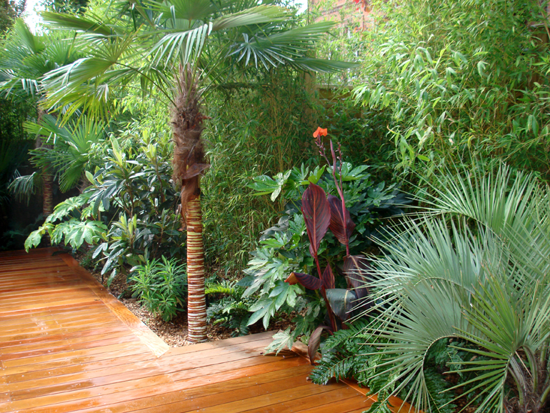 Small Tropical Gardens