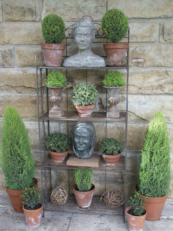 Amazing Sculpture