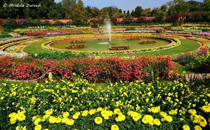 Mughal Garden Delhi