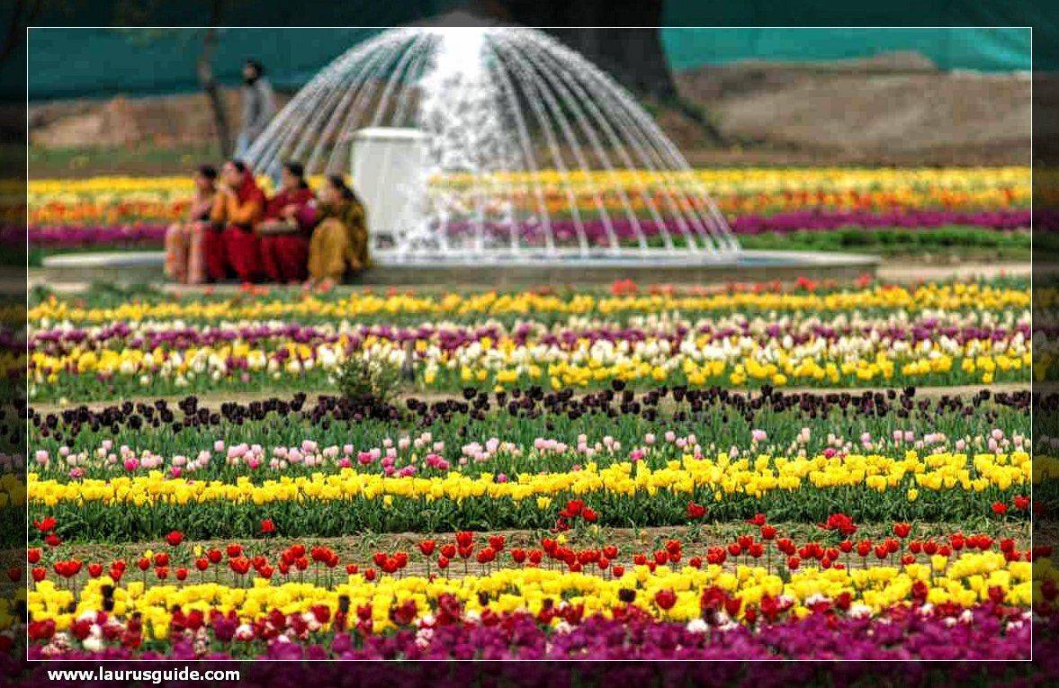 A Mughal Garden