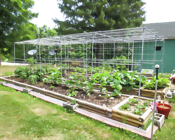 Pond Cottage Garden Pond Cottage Garden