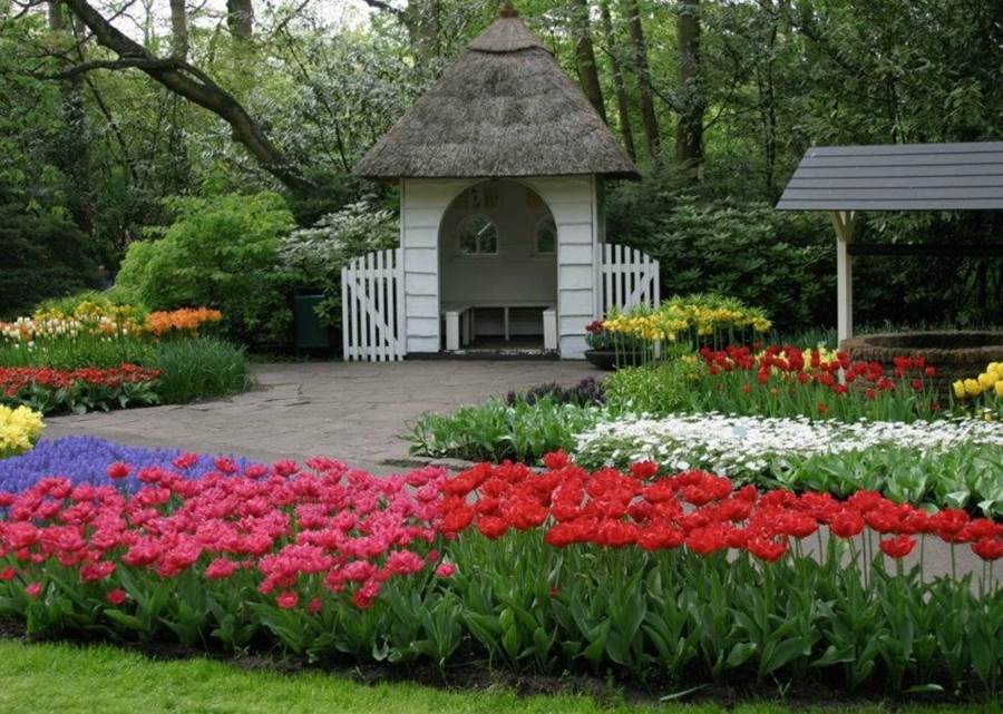 Worlds Largest Flower Garden Keukenhof Netherlands Xcitefunnet