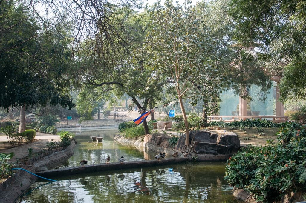 Planting Container Gardens Delhi