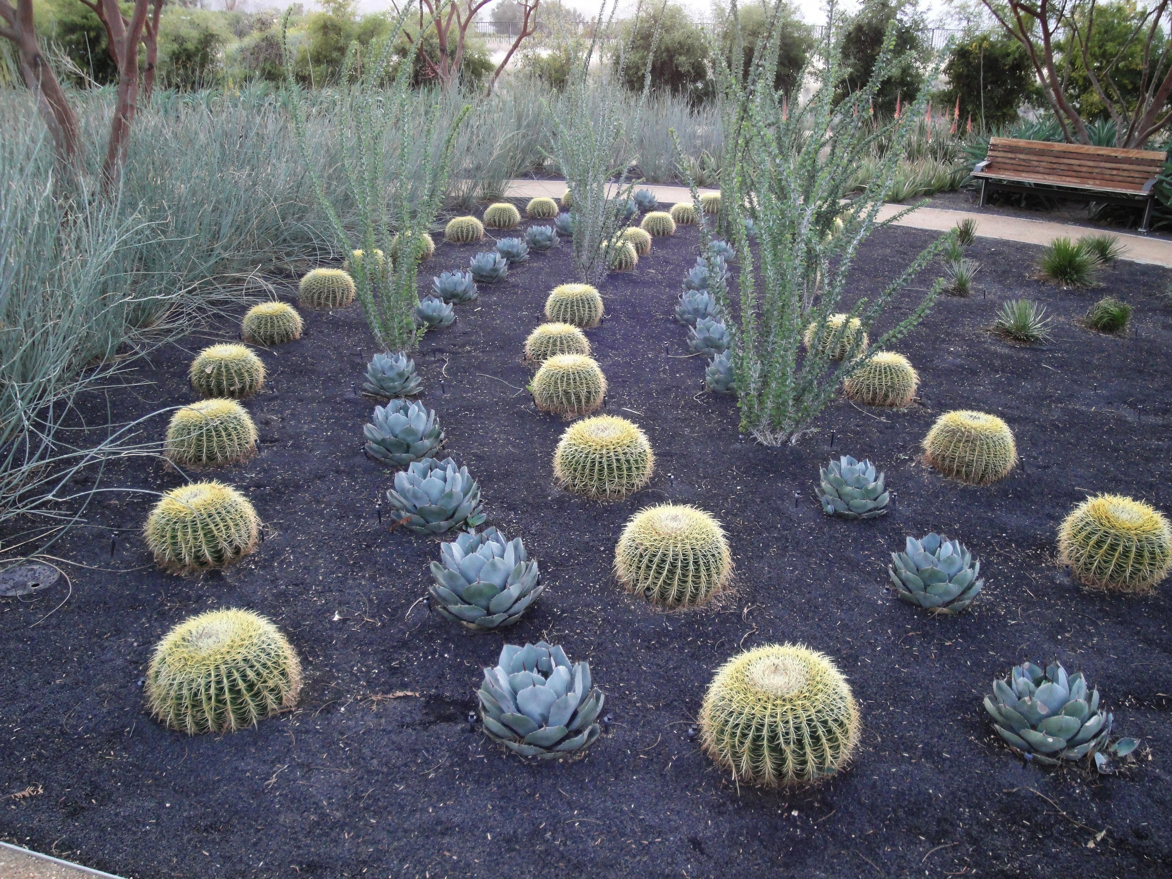 Contemporary Rockery Miniature Garden