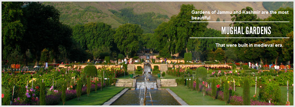 Mughal Gardenkashmir