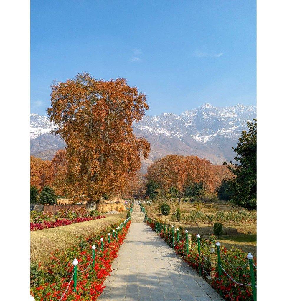 Beauty Fact History Kashmir Tourism