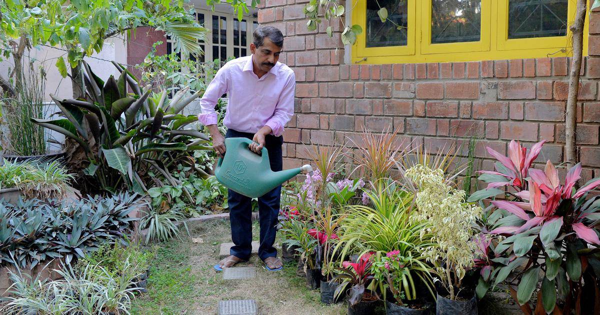 Best Terrace Gardens Designs You Will Love To See