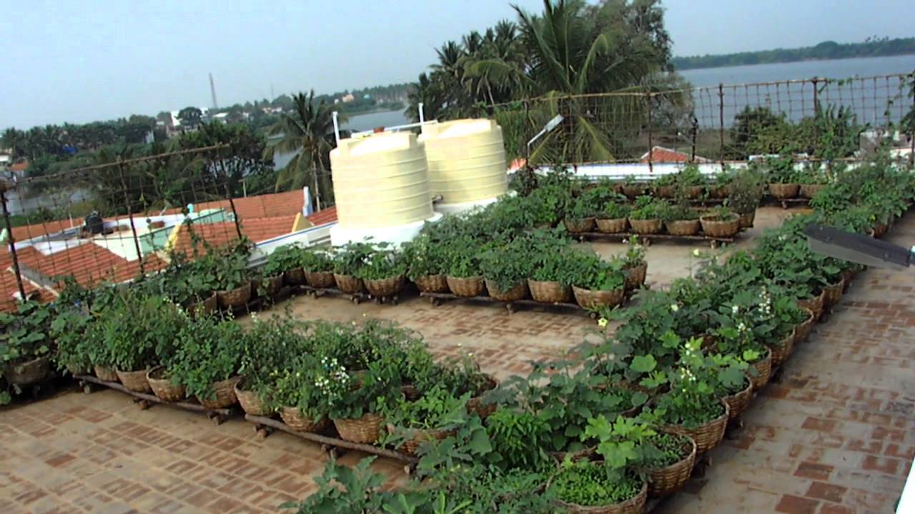 Ascension School Rooftop Garden