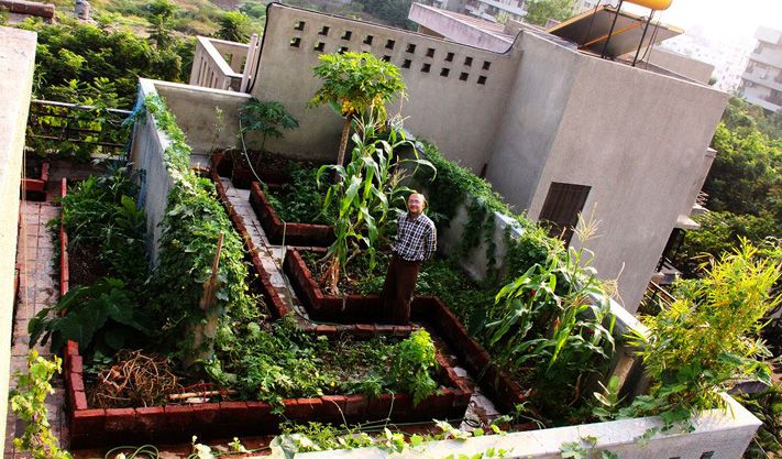 Rooftop Garden