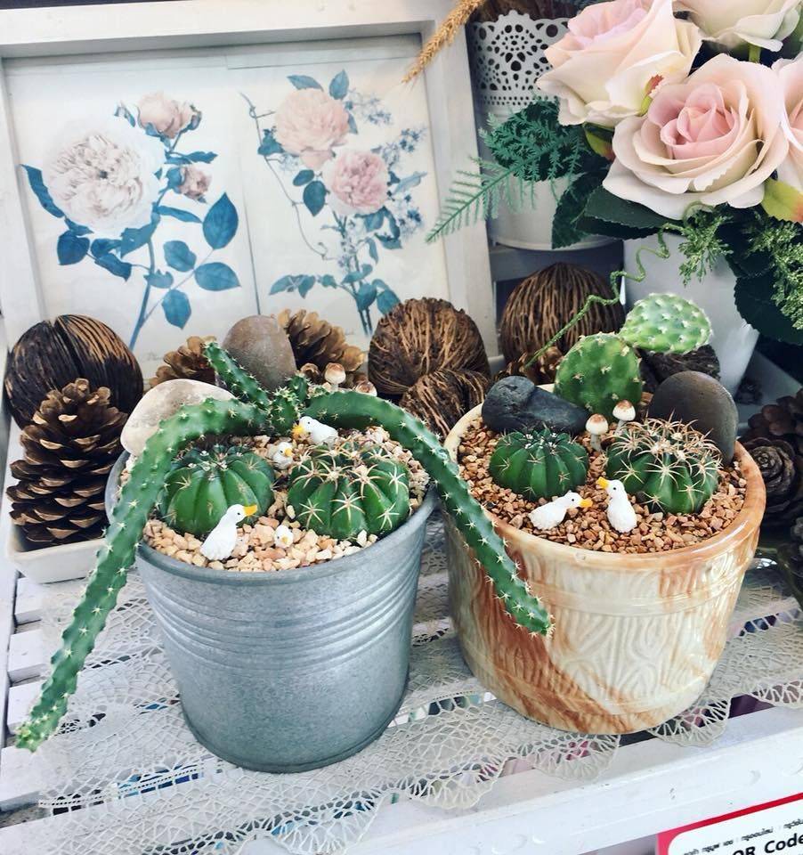 Nong Nooch Tropical Botanical Garden Tng