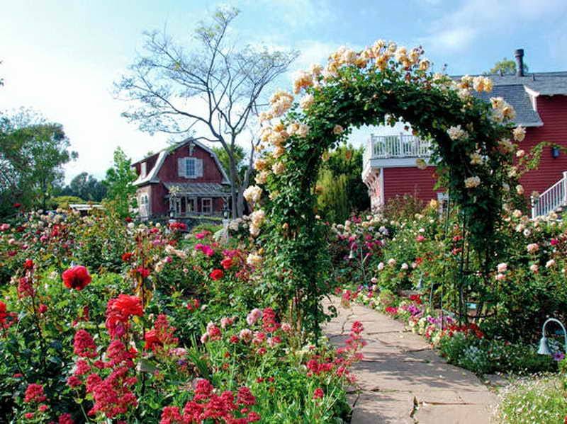 Creative Wedding Ideas