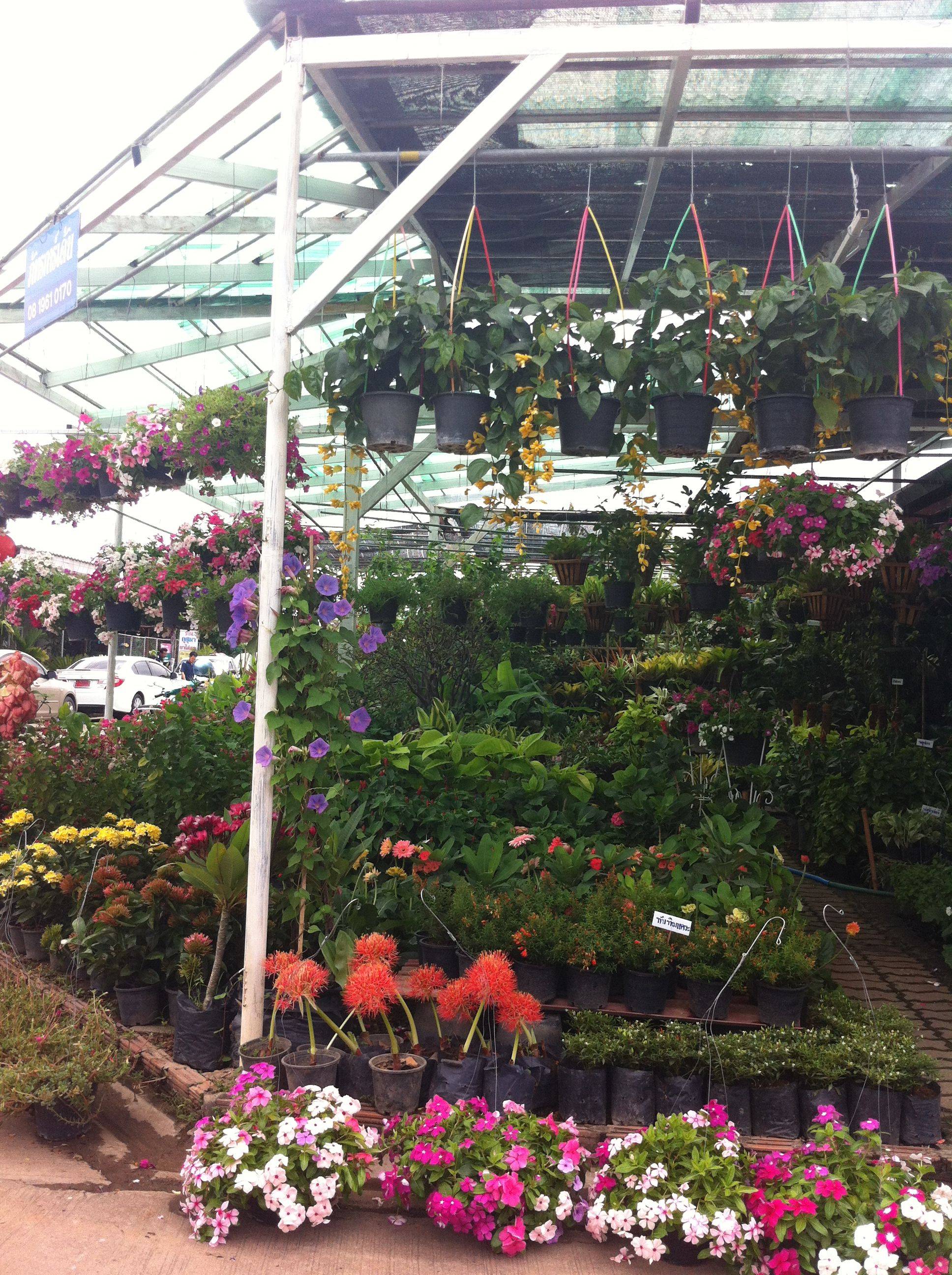 Anantara Siam Bangkok Hotel Wedding